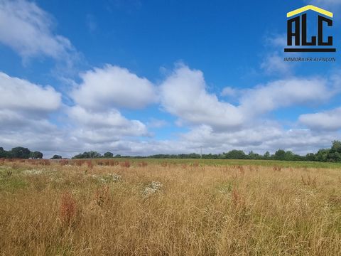 Maelwenn GUEGUEN of the ALC Real Estate Agency offers for sale 9 building plots in the area of Neuilly-le-Bisson. There are a total of 9 lots: Lot 1 = 837 m2 / Lot 2 = 824 m2 / Lot 4 = 757 m2 / Lot 5 = 757 m2 / Lot 6 = 743 m2 / Lot 7 = 1010 m2 / Lot ...