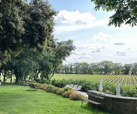 Sale of a prestigious winery with AOP Coteaux d'Aix-en-Provence. An intimate place combines tradition and modernity. Information only with confidentiality obligation winery Contact us for a visit and a personal selection of alternative properties. We...