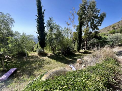 Between the Sierra Almijara and the Mediterranean Sea is this 4-hectare ecological farm, bordering the Maro-Cerro Gordo natural park. cul de sac, no neighbors, With views of the sea and mountains, In a haven of tranquility and privacy. In this orchar...