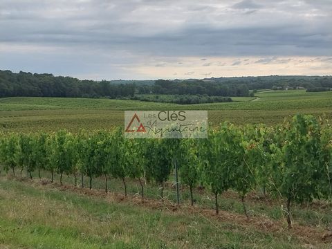 In de omgeving van Créon, Targon, Cadillac, Langoiran, biedt uw lokale agentschap Les Clés d'Aquitaine u verschillende percelen landbouwgrond aan die momenteel worden gebruikt in wijngaarden. Mogelijkheid om meerdere hectaren grond, weiland en schure...