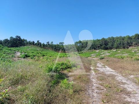 Building land in a privileged environment. In Labenne, on the edge of the forest and a few minutes from the ocean, 28 plots of land from 450 to 1006 m2 are located out of sight. Surrounded by pines and other local species, come and build the house of...