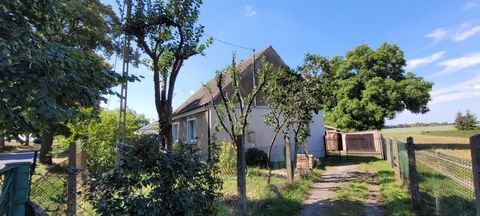 WITKOWO HOUSE ON THE ROUTE TO WRZEŚNIA! Built-up land property for sale, located in Witków at Wrzesińska Street, 20km from Gniezno and Września. The property is a detached, single-storey residential building with a partial basement built in the 60s o...