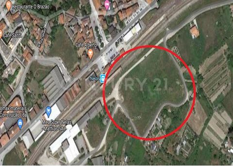 Do you want to buy a plot of land on Ruana do Mondego, Lot 13, Nelas? Excellent opportunity to acquire this land with a surface of 569 square meters, located in Nelas, Viseu district. It has good access and good location. Would you like to know more?...