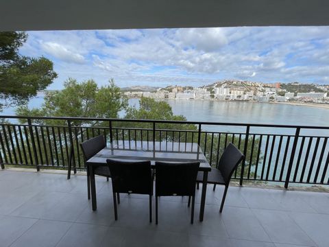 Nice apartment of 70 m2 plus terrace of 30 m2 on the seafront and 200 m away from Santa Ponsa beach. The views are very pleasant and clear. It has 3 bedrooms, 1 bathroom, dining room, kitchen, laundry room and WiFi Internet connection throughout the ...