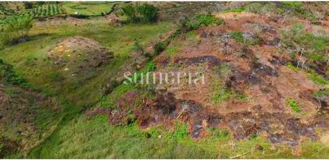 An attractive lot located in the village of Rio Abajo belonging to the municipality of Rionegro, Antioquia, is offered for sale. This lot has facilities for connection to basic services, thus ensuring comfort and practicality for future construction ...