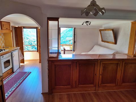 For sale in Belvedere, a village at the magical gateway to the Valley of Wonders, this delightful FURNISHED STUDIO of about 25 m2, offered by Alpes d'Azur Immobilier, offering a south-facing view of the Valley and cosy comfort. - Popular location in ...