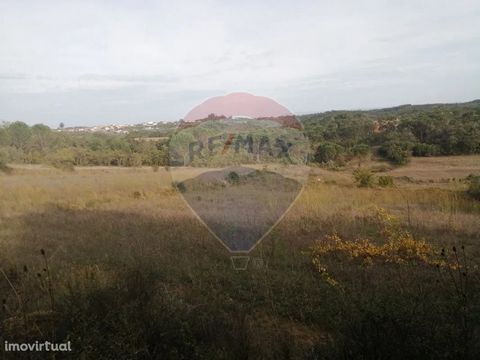 Land for sale at 7 000 € in the parish of Abrunheira, municipality of Montemor-o-Velho. Land of culture with 5570 m² with good access. If you are looking for a land that offers you productivity, this is your opportunity. Book your visit now!