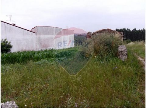 Urban land for construction, there is a house in ruins, with 550m² and a front of about 20m², more of the rustic articles with 4146m², with agricultural culture, pine forest and eucalyptus. An excellent opportunity, come visit!