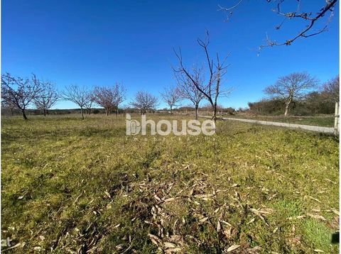 Land in Tortomil with a total joint area of 208689m2. These very productive lands, located in the parish of Bouçoães, have planted in its immense and vast area, chestnut trees to lose sight of, which have as average production per year 7000 kilos of ...