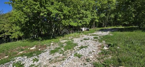 Location: Istarska županija, Pićan, Pićan. ISTRIA, PIĆAN - A complex of land with a permit on the edge of the settlement Pićan is a beautiful Istrian town located in central Istria. It is a centuries-old city with a rich material and cultural heritag...