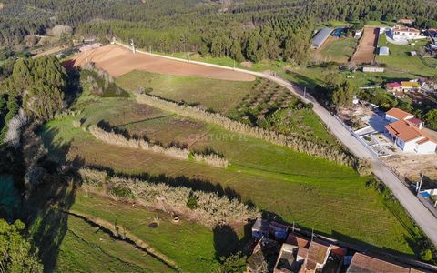 Plot of land with 16320m2, located in Cabeça Gorda - Lourinhã, with building feasibility. East-west orientation, residential surroundings in a quiet, sunny area. Just a few minutes from services and public transport: - 10 minutes from Lourinhã; - 25 ...