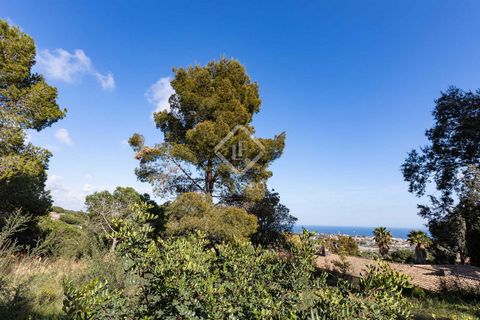 The plot is located in the charming town of Cabrils, in the quiet residential area of Sant Crist, close to the centre and all services. The land measures 2,013 m², is quite flat and offers views of the sea and the mountains, as well as a lot of priva...