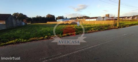 Land with 35.40ml of front and 6120m2 of area for construction of villas. Location between Ílhavo and Aveiro, with quick access to the main roads.