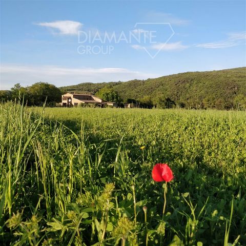 Civitella Paganico (GR), Surroundings: Agricultural land of approximately 37 hectares consisting of: - 4 hectares of vineyard registered to the DOCG of Montecucco of Sangiovese quality, placed on regular rows at 330 m a.s.l. ; - 3 hectares of well-ex...
