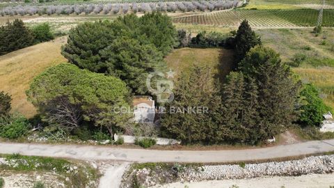 BORGAGNE - LECCE - SALENTO Immersed in the countryside of Borgagne, a hamlet of the municipality of Melendugno, we offer for sale large agricultural land of almost 1 hectare located just 5 km from the sea. The land, located on the street front and ea...