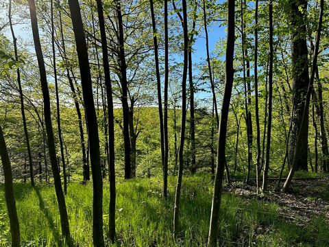 Peaceful and tranquil 11.43 acre parcel located on a country road just 10 minutes from the Village of Millbrook. The setting provides towering oaks and hardwoods that create grassy woodlands. Set up from the road to a plateau is a perfect building lo...