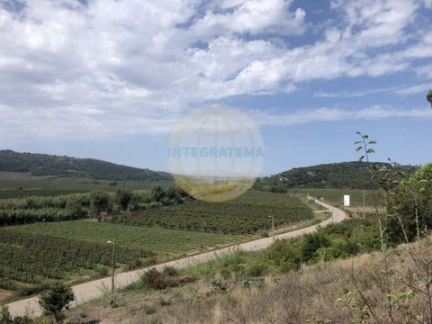 Located in Óbidos. Land with 10000 m2 with ruin that can be renovated. Possibility of reconstruction of the ruin up to 150m2. Unobstructed view of the Castle of Óbidos and the countryside. Located just a few minutes from the medieval village of Óbido...