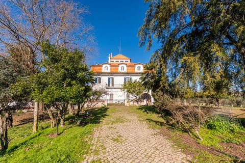 Farm, with 5.6 ha, located in Évora, close to the upcoming hospital (which is already under construction) and the city centre. The main house, with a 918 sqm private gross area, is placed in the centre of the property, being distributed by three floo...