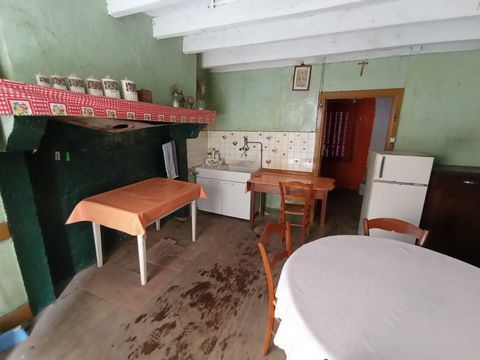 photo no. 10