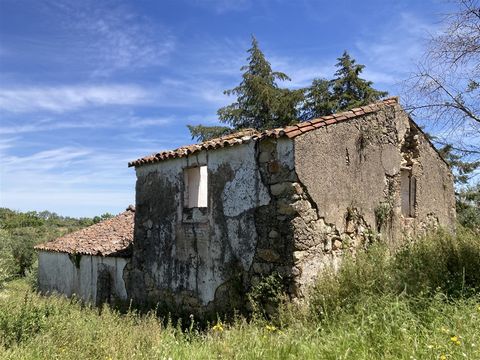 Bauernhaus mit einer umzubauenden Ruine mit 232m2 Bruttobaufläche, mit herrlichem Blick auf das Dorf Castelo de Vide und Marvão, zwei Autominuten von Castelo de Vide entfernt. Das Grundstück mit einer Gesamtfläche von 1,7 ha besteht aus Olivenhainen,...