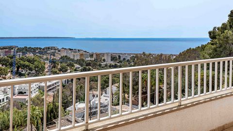 Mediterrane Villa mit einem traumhaften Meerblick in ruhiger Wohnlage im Südwesten der Sonneninsel.Diese charmante Villa verfügt über eine Grundstücksfläche von ca. 1200 m2 und eine bebaute Fläche von ca. 350 m2. Die Aufteilung ist wie folgt: 7 Schla...