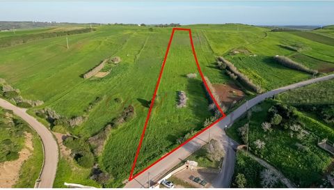 Deal Homes presents, Very flat rustic land with 13400m2, located in the village of Raposeira. With great access, it borders two roads, one tarmac and the other dirt. Consisting of arable land, tree and reeds, it is perfect for agricultural and rural ...