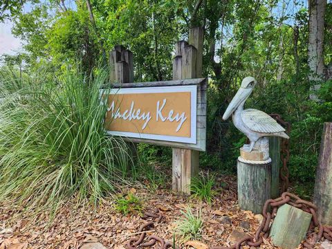 Under $30k for waterview property? In a neighborhood that is made up of mostly million dollar homes? YES, that's correct! Welcome to your slice of serenity! Nestled in the tranquil neighborhood of Mackey Key; this vacant, half acre, wooded property o...