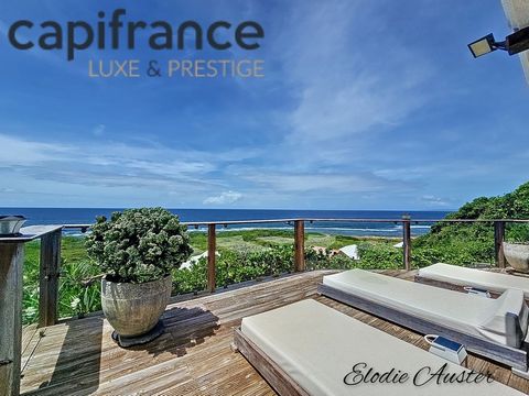 Villa d'exception vue mer et 1 studio