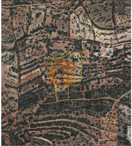 Terrain rustique, situé à Alcarias Santa Catarina da Fonte do Bispo. Ce terrain, compte tenu de son exposition, sera idéal pour l'apiculture puisque la zone possède une vaste végétation verte toute l'année et en même temps protégée du vent, des cultu...