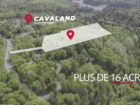 Ne ratez pas ce très grand terrain boisé de 712 987 pc, situé au coeur des Laurentides ! Zoné R63, il vous offre plusieurs possibilités intéressantes pour vos projets, que ce soit résidentiel, agricole, forestier, récréotouristique ou villégiature. I...