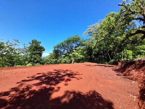 Enjoy amazing views of the jungle and the Pacific Ocean from this beautiful land ready to build.  The property is located on the scenic road to Santo Domingo, just an 8-minute drive from downtown Samara and its beach, where you will find all the amen...