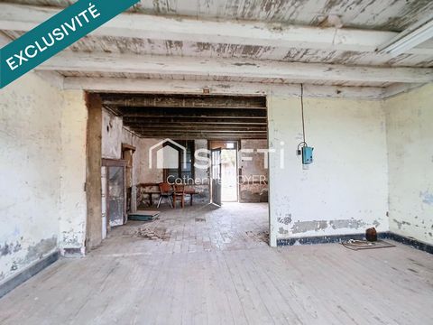 photo no. 4