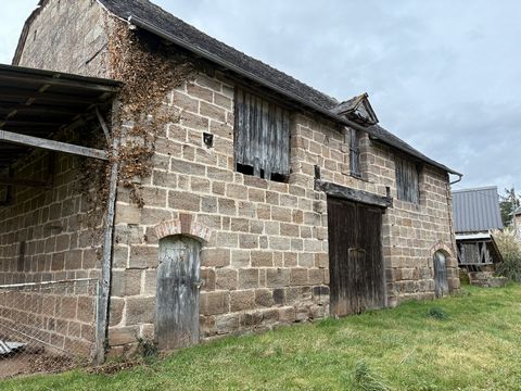 photo no. 17