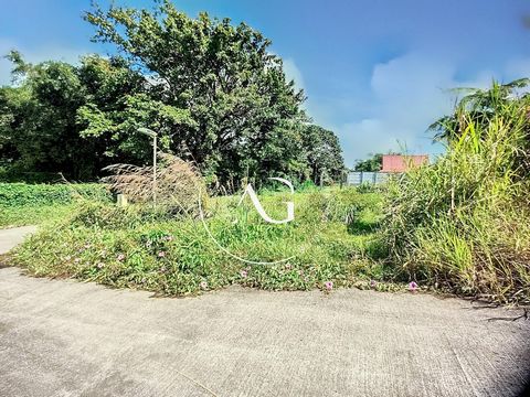 Opportunité à Morne Rouge : Terrain 429 m² prêt à construire