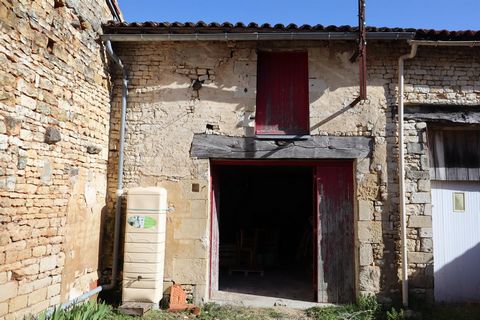 photo no. 12