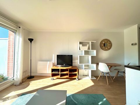 photo no. 9