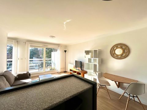 photo no. 10
