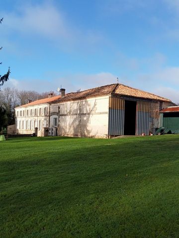 photo no. 2
