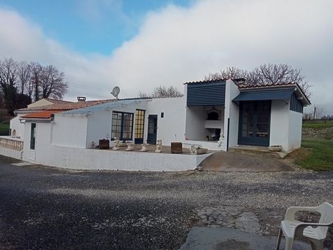 photo no. 12