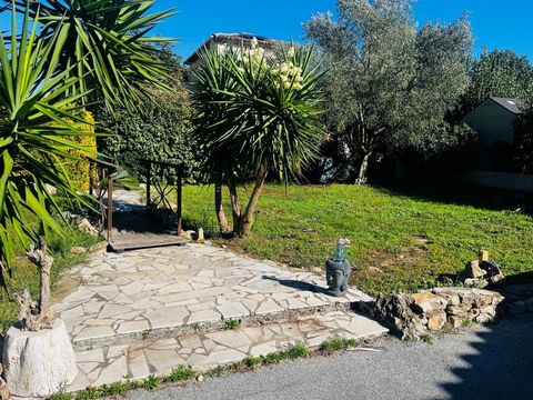 photo no. 16