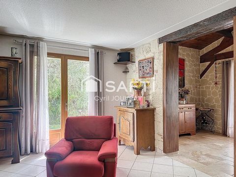 photo no. 13