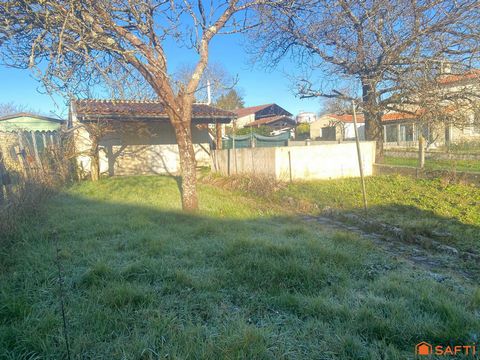 photo no. 11