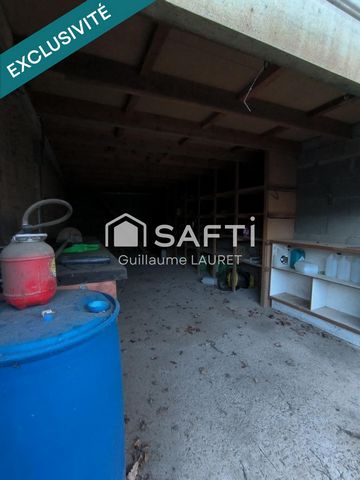 photo no. 6
