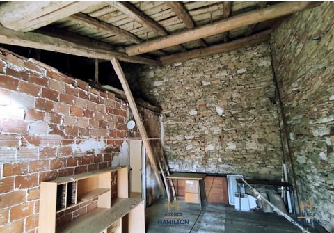 photo no. 15