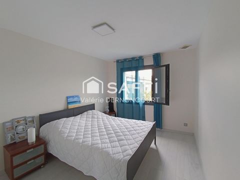photo no. 8