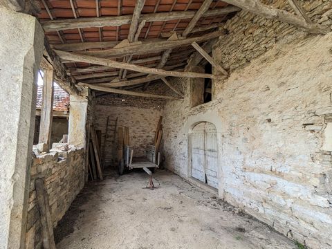 photo no. 11