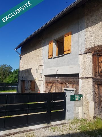 photo no. 4
