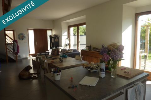 photo no. 15
