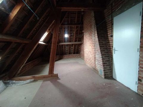 photo no. 8