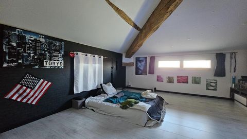 photo no. 10